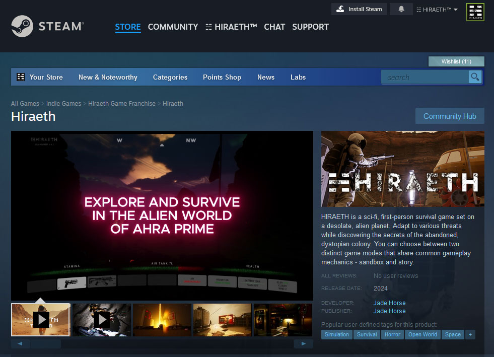 Steam Page HIRAETH game